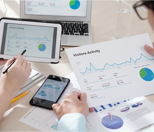 Search Engine Ranking